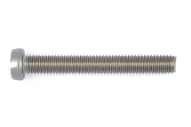 ВИНТ ЦГ DIN84 A4/70 ШЛ M6X25 02896  25