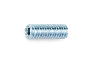 ВИНТ УСТ ПК ISO4026 45H IH4 (A2K) M8X10 025508 10