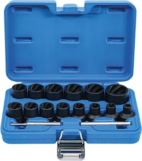 НАБОР ГОЛОВ ЭКСТРАКТ 1/2" СПИР 16ПР 1500-5269