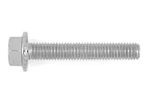 БОЛТ ФЛ RIPP 100 WS22 (ZNSHL) M16X30 0991811581