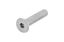 SCR ISO10642 08.8 IS6 (ZFSHL) M10X40 412241040