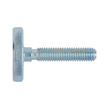 ВИНТ С НАКАТКОЙ DIN653 A1 M6X16 022476 16