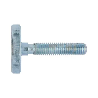 ВИНТ С НАКАТКОЙ DIN653 A2 M4X12 0998657808