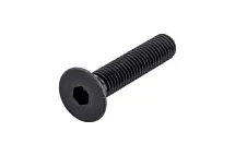 ВИНТ ПГ ISO10642 010.9 IH5 M8X20 00898  20