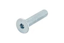 ВИНТ ПГ ISO10642 010.9 IH6 (A2K) M10X25 008901025