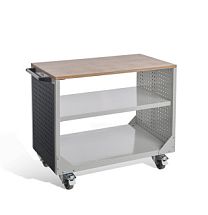 Тележка инструментальная ВСТ-030-02 13.0622-103 