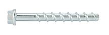 Винт. анкер по бетону W-BS тип S с 6-гран.головкой  5929126005 